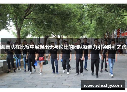 海南队在比赛中展现出无与伦比的团队凝聚力引领胜利之路