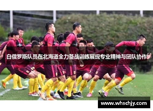 白俄罗斯队员在北海道全力备战训练展现专业精神与团队协作