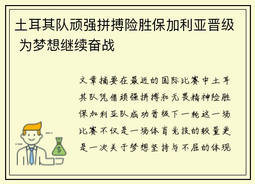 土耳其队顽强拼搏险胜保加利亚晋级 为梦想继续奋战