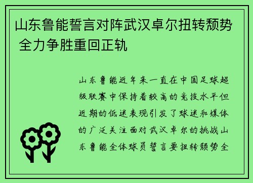 山东鲁能誓言对阵武汉卓尔扭转颓势 全力争胜重回正轨