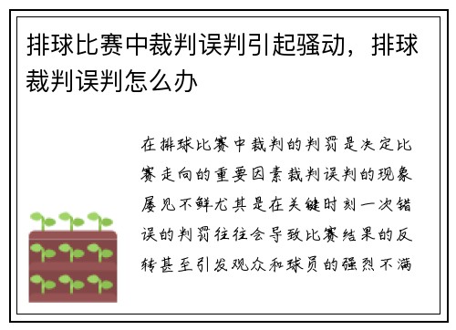排球比赛中裁判误判引起骚动,排球裁判误判怎么办
